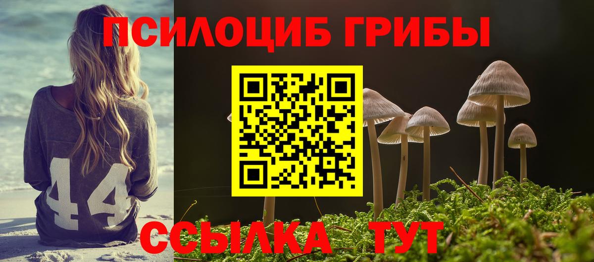 Галлюциногенные грибы MAGIC MUSHROOMS Нерюнгри