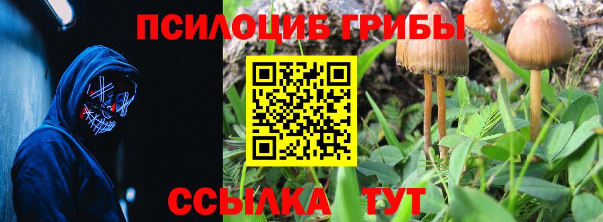 Псилоцибиновые грибы MAGIC MUSHROOMS  Вход с VPN  Нерюнгри 